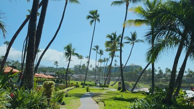 The coconut (Cocos nucifera) is a member of the palm family (Arecaceae). Wailea Beach Path, Kihei, South Maui, Hawaii. Ulua Beach, Pacific Oicean.