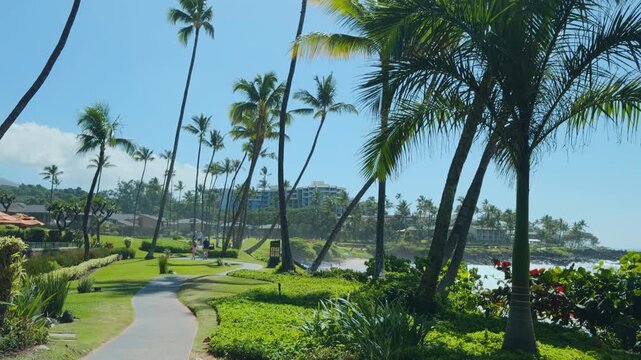 The coconut (Cocos nucifera) is a member of the palm family (Arecaceae). Wailea Beach Path, Kihei, South Maui, Hawaii. Ulua Beach, Pacific Oicean. Roystonea