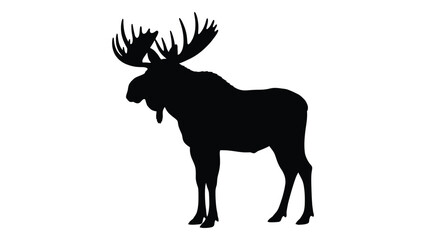 A black silhouette of a moose with antlers isolated on white background, Vector
