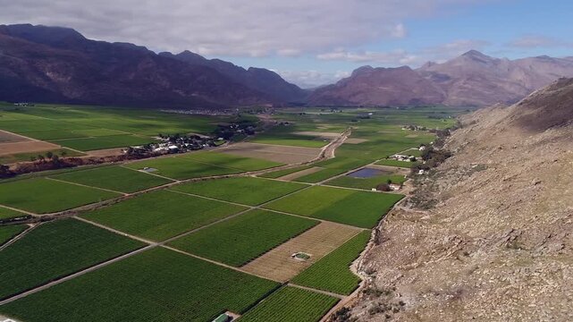 Panoramic pan shot across valley full of orchard agriculture fields
