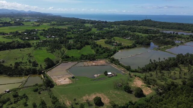 Drone shot capturing the vibrant green hills, rice fields, and sparkling coastal waters of Carles Iloilo, showcasing pristine natural agriculture landscapes in the Philippines.
Mountains in background