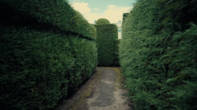 Walking through the hedge labyrinths of Tulc&aacute;n Cemetery topiary garden in Ecuador