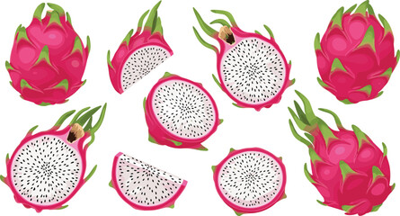 Dragon Fruit Collection with Whole and Cut Pieces Illustration, Tropical Pitaya Set for Healthy Food Design, Juice Branding, and Organic Nutrition Concepts © Sanjida