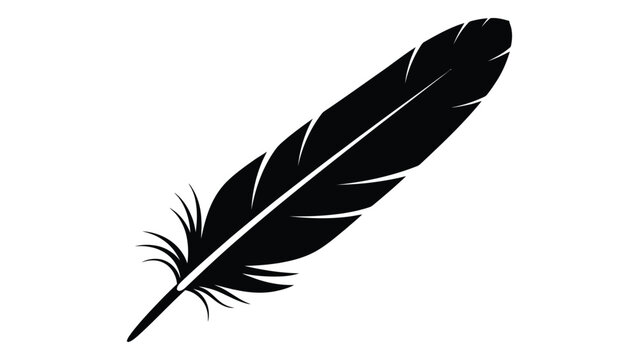 A black feather on a white background isolated on white background, Vector
