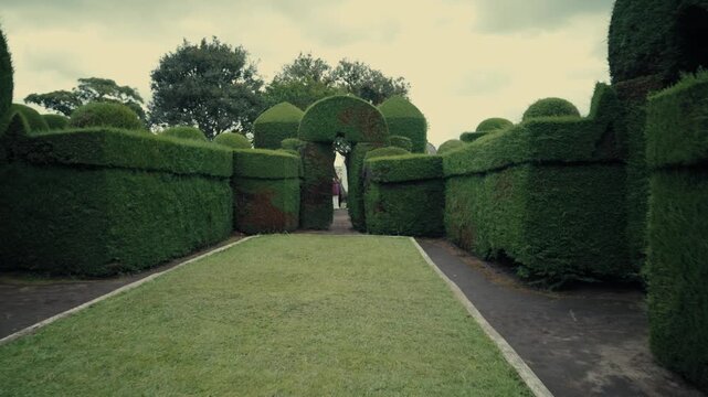 Walking through the hedge labyrinths of Tulc&aacute;n Cemetery topiary garden in Ecuador