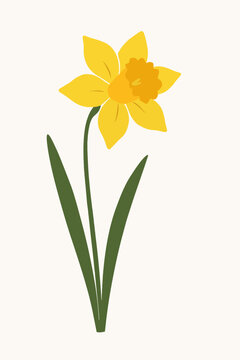 Minimalist vector illustration of a single vibrant yellow daffodil flower with green stem and leaves