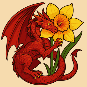 Large red Welsh dragon curled around a giant daffodil flower, protective pose, vibrant colors, fantasy vector art