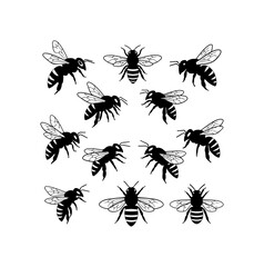 Black and White Bee Vector Illustration Set