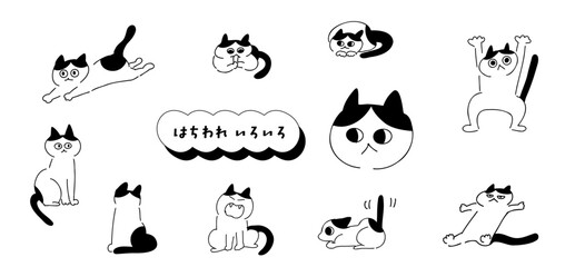 ねこ！はちわれいろいろ｜ぶち,ぶちねこ,ハチワレ｜tuxedo cat