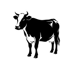 Black and White Holstein Friesian Cow Silhouette Standing Isolated on White Background
