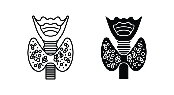 Human thyroid gland and trachea anatomical icons in line and solid styles for medical education, endocrine system health, and thyroid disease awareness