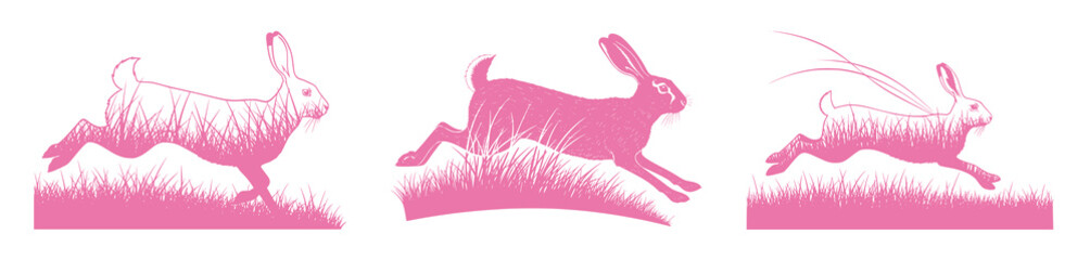Pink Rabbits Leaping Through Grass: A Graphic Illustration