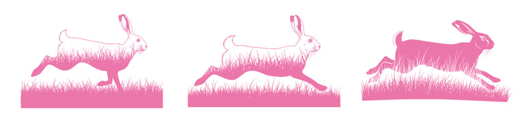 Pink Rabbits Running Through Grass: A Springtime Silhouette