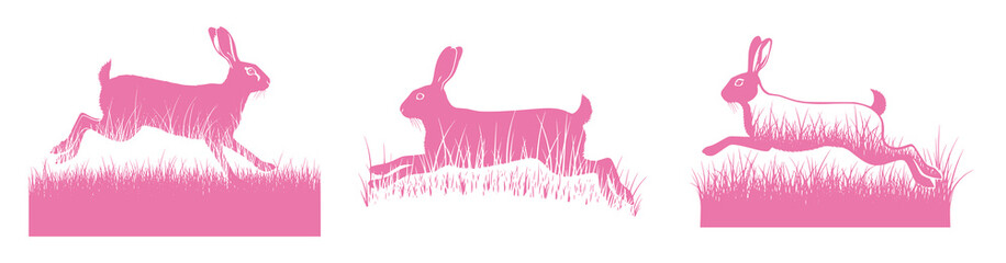 Pink Rabbits Silhouettes Running Through Grass