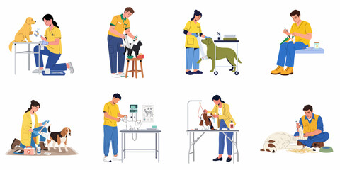 Fototapeta premium Veterinary and Pet Care Services: Illustrated scenes of animal first aid, medical treatment, grooming, and professional support for various domestic animals.