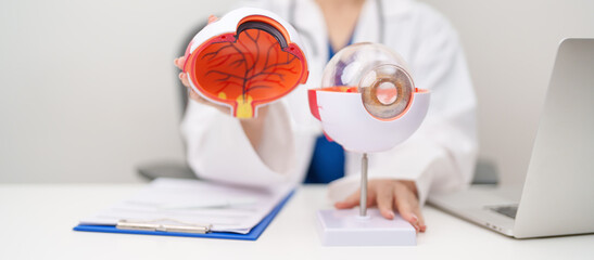 Doctor with human Eye anatomy model with magnifying glass. Eye disease, Refractive Errors, Age Related Macular Degeneration, Cataract, Diabetic Retinopathy, Glaucoma, Amblyopia, Strabismus and Health