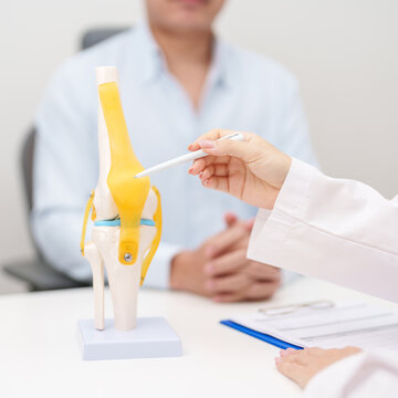 Doctor with Human Knee joint anatomy model. Osteoarthritis, Patellofemoral Pain Syndrome, Patellar Tendinitis, ACL, Anterior Cruciate Ligament, PCL, Posterior, MCL, Medial Collateral, LCL and Lateral
