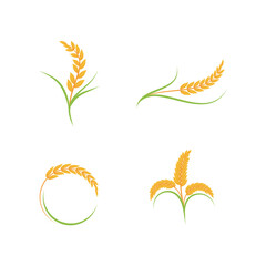 Wheat Logo icon