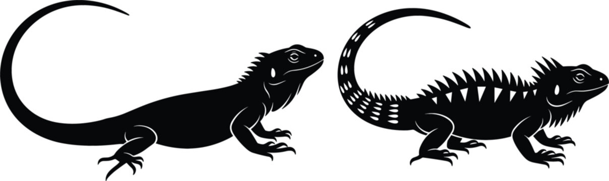 Iguana lizard silhouette set in smooth and spiky styles isolated black vector illustration