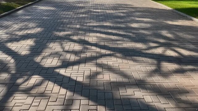 Paved pathway with intricate tree shadows casting a natural pattern on a serene outdoor setting viewed from above.
