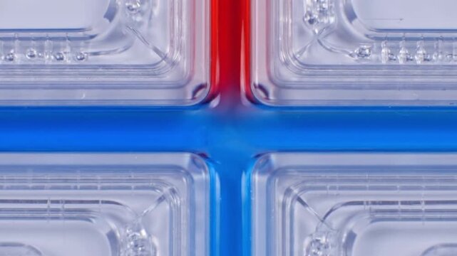 Precision Fluid Dynamics: Red and Blue Liquids Interact Within a Transparent Microfluidic Device, Symbolizing Scientific Innovation and Medical Research