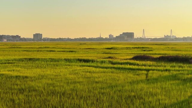 Revealing aerial view of Arthur Ravenel Jr. Bridge and downtown Charleston, South Carolina skyline landscape with grassy marshes and waterways in the lowcountry region during morning sunrise - 4K Dron