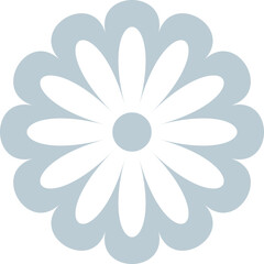 Elegant Natural Single Flower Macro Shot Isolated Professional Floral Stock