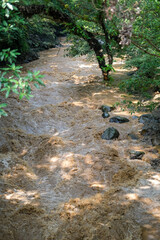 Fototapeta premium High-angle shot of the Ciliwung River's turbulent brown water rushing through a lush green valley in Bogor, showing the raw power of nature and natural debris after heavy rain in the upstream