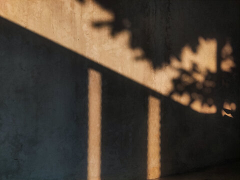 Cinematic shot of warm golden hour sunlight casting soft leaf shadows and geometric window patterns onto a textured grey concrete wall, creating a peaceful and minimalist urban atmosphere.