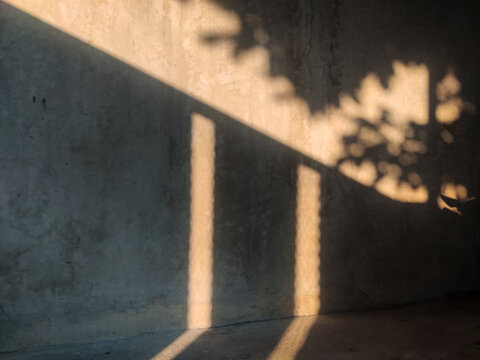 Cinematic shot of warm golden hour sunlight casting soft leaf shadows and geometric window patterns onto a textured grey concrete wall, creating a peaceful and minimalist urban atmosphere.