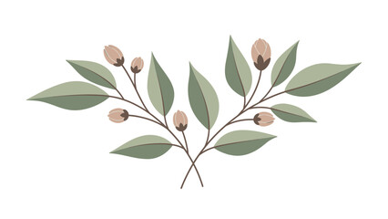 Illustration of a eucalyptus branch with green leaves and brown buds on a white background in a flat lay composition with a minimalist style and a calming mood. © Anton