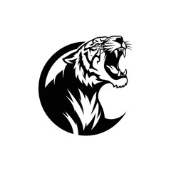 Black and white tiger head profile. © AHMAD