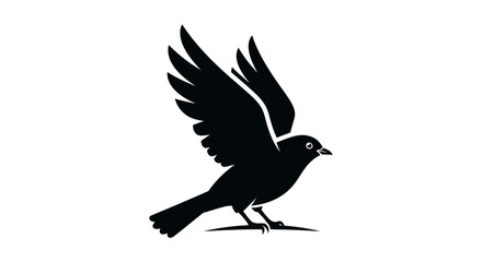 Fototapeta premium Black bird in mid flight motion.