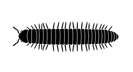 Black centipede insect with antennae. © LAILATUS