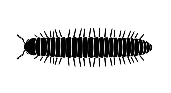 Black centipede insect with antennae.