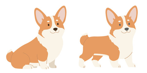 Fototapeta premium Standing and sitting brown corgi dog, side view. Flat color vector illustration isolated on a white background