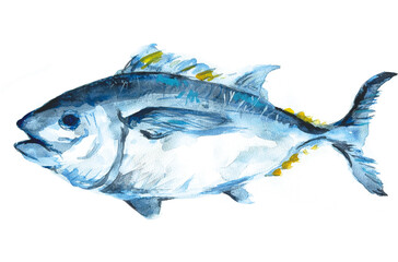 マグロの水彩イラスト素材