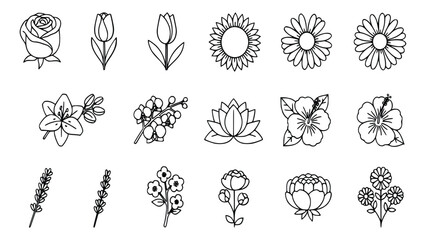 Collection of elegant black line drawings featuring various beautiful flowers including rose, tulip, and sunflower, on a plain white background, perfect for decorative and design purposes. © Ajoy