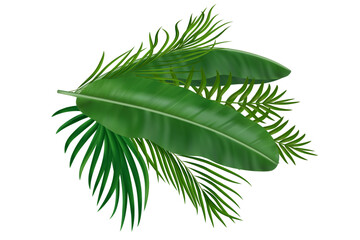 Green tropical leaves with palm fronds and banana plants. Vibrant jungle greenery for summer party invitations and travel designs. Vector illustration © wild
