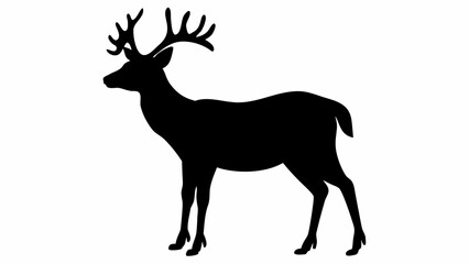 Fototapeta premium Majestic stag with impressive antlers in powerful stance
