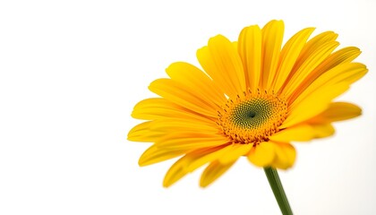 A vibrant pink sale advertisement with mosque and palm tree decorations
