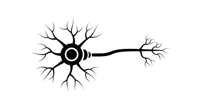 Neuron cell with dendrites and axon.