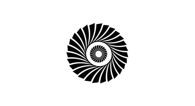 Black and white nautilus shell spiral.