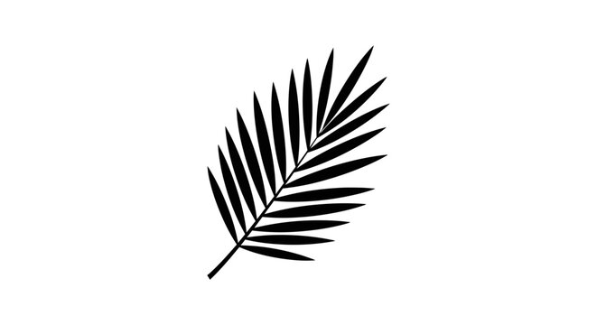Black silhouette of a palm leaf.