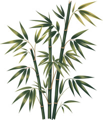 Obraz premium Lush green bamboo plant illustration with multiple stalks and vibrant leaves, depicting a serene natural element or decorative foliage, perfect for various design projects