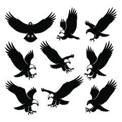 Obraz premium Collection of flying eagles in various poses vector illustration