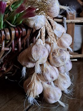 garlic on market