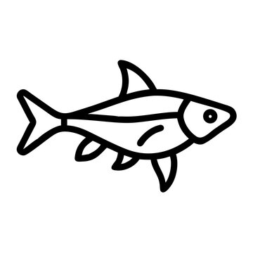 fish rasbora icon