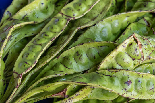 Parkia speciosa, the bitter bean, twisted cluster bean, sator bean, stink bean, or petai sold on market