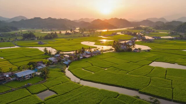 Aerial Drone Flight Over Lush Green Rice Terraces at Sunset with Winding River and Village